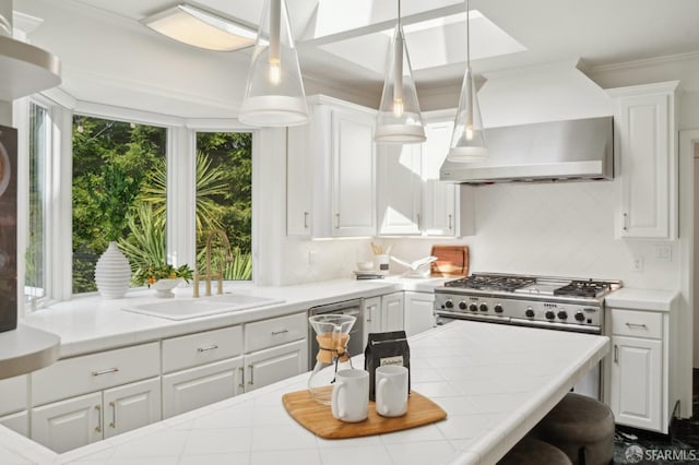 kitchen featuring wall chimney exhaust hood, appliances with stainless steel finishes, a sink, and white cabinets