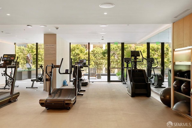 exercise room featuring a wall of windows