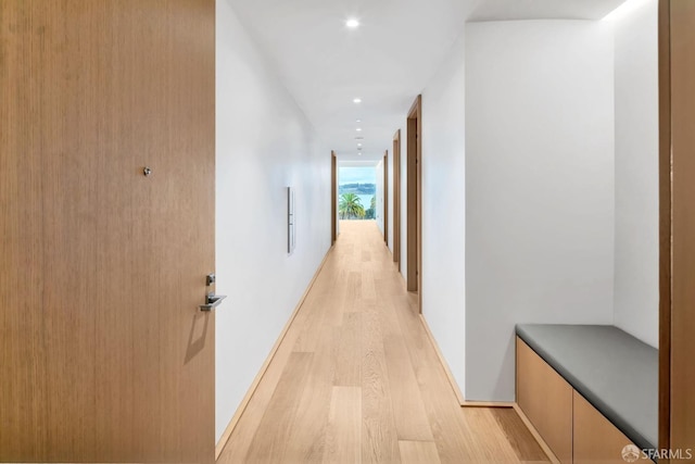 corridor featuring light hardwood / wood-style floors