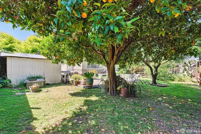 1146 Carlton Ave, Menlo Park, CA 94025 - view of yard