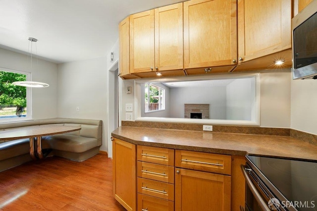 1835 Clayton Way, Concord, CA 94519 - kitchen featuring appliances with stainless steel finishes, dark countertops, light wood finished floors, a fireplace, and pendant lighting