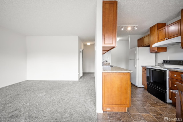 1919 Ygnacio Valley Rd Unit 33, Walnut Creek, CA 94598 - kitchen with under cabinet range hood, electric range, freestanding refrigerator, a sink, and a textured ceiling
