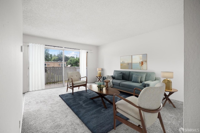 1919 Ygnacio Valley Rd Unit 33, Walnut Creek, CA 94598 - living area featuring carpet and a textured ceiling