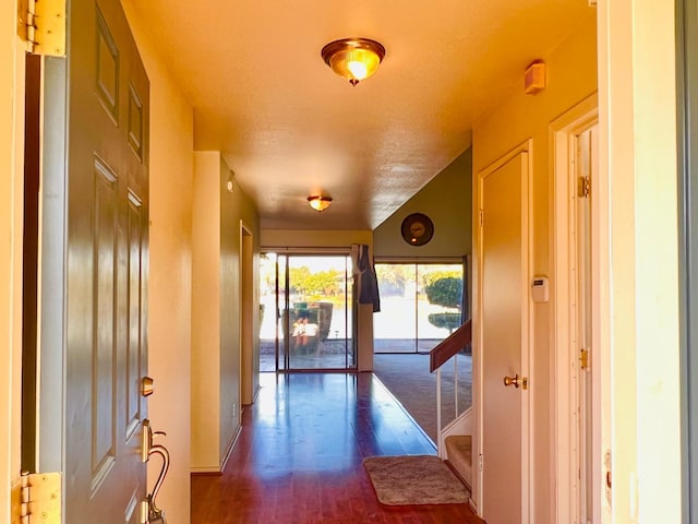 hallway with a textured ceiling and dark wood-type flooring