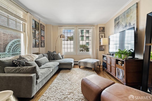 living room featuring dark hardwood / wood-style floors