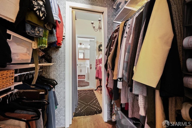 walk in closet featuring wood-type flooring and an inviting chandelier