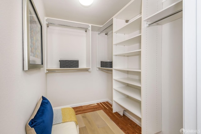 spacious closet featuring wood finished floors