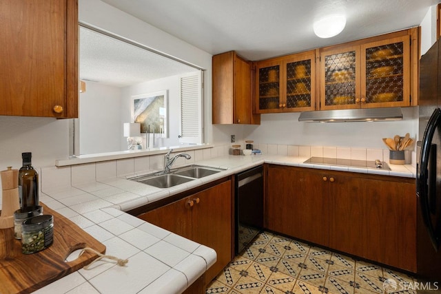 2691 Sean Ct, South San Francisco, CA 94080 - kitchen with a sink, under cabinet range hood, dishwashing machine, and tile countertops
