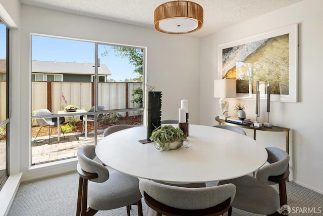 2691 Sean Ct, South San Francisco, CA 94080 - dining space with carpet floors, baseboards, and a textured ceiling