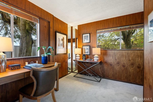 2691 Sean Ct, South San Francisco, CA 94080 - office featuring carpet floors, wooden walls, a textured ceiling, and built in desk