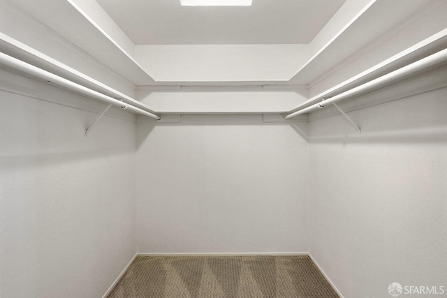 2691 Sean Ct, South San Francisco, CA 94080 - walk in closet with carpet floors