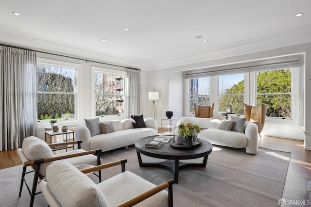 living room featuring crown molding and hardwood / wood-style flooring