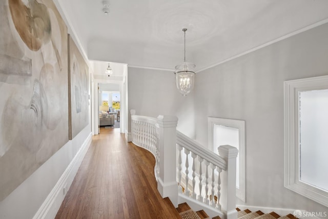 corridor with an inviting chandelier, dark hardwood / wood-style floors, and ornamental molding