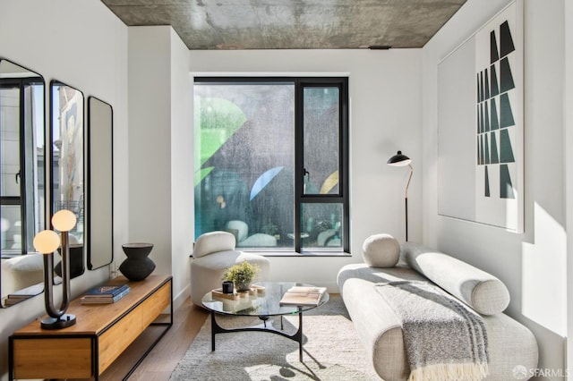 sitting room with hardwood / wood-style floors