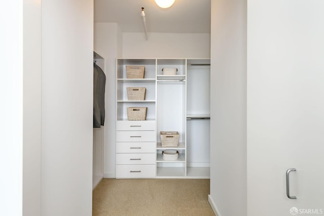 walk in closet featuring carpet floors