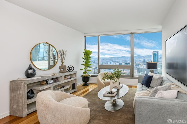 living area featuring baseboards and wood finished floors