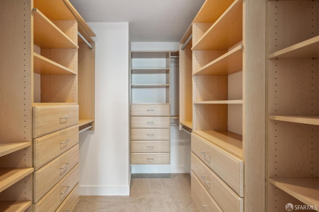 walk in closet with light colored carpet