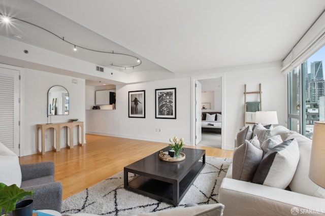 living room featuring rail lighting and light hardwood / wood-style flooring