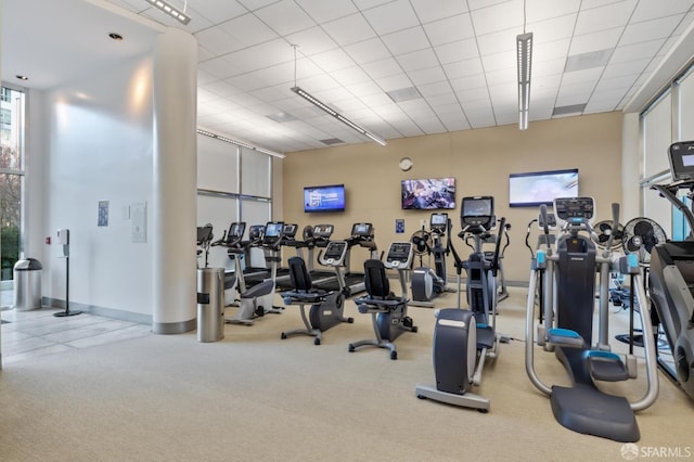 workout area featuring carpet