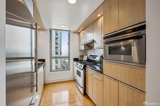 kitchen featuring light hardwood / wood-style flooring and appliances with stainless steel finishes