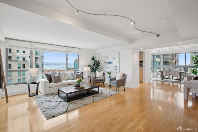 living room with a water view, a healthy amount of sunlight, rail lighting, and light hardwood / wood-style flooring