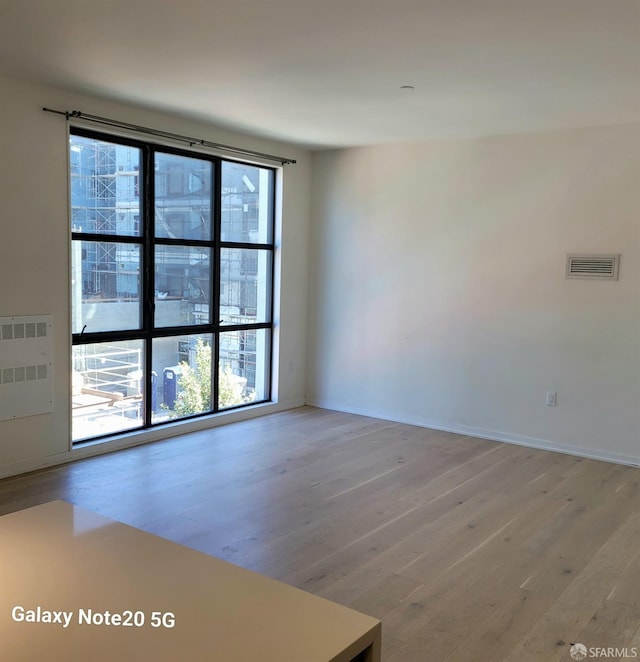 empty room featuring a wealth of natural light and light wood-type flooring