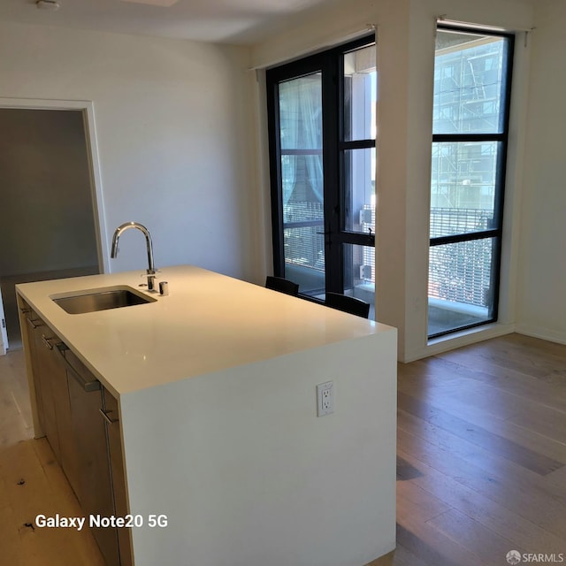 kitchen with light wood-type flooring, a healthy amount of sunlight, a kitchen island with sink, and sink