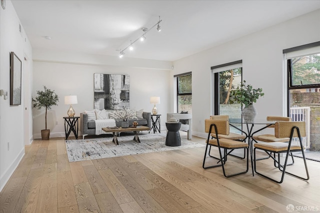 living room with a wealth of natural light and light wood-type flooring