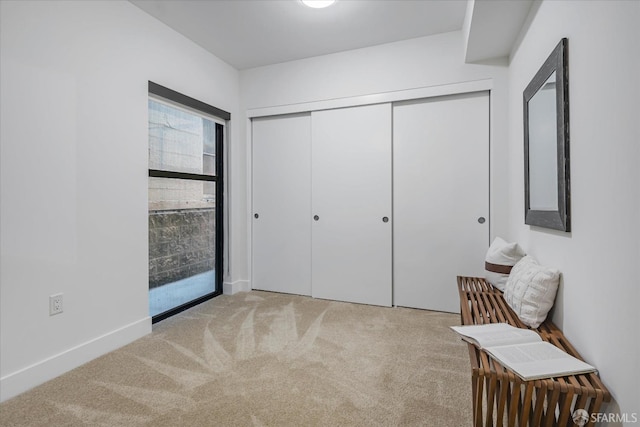 interior space with light carpet and a closet