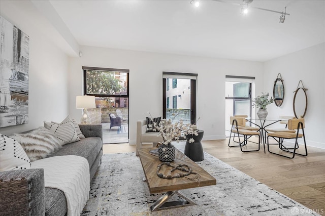 living room featuring a wealth of natural light, light hardwood / wood-style floors, and track lighting