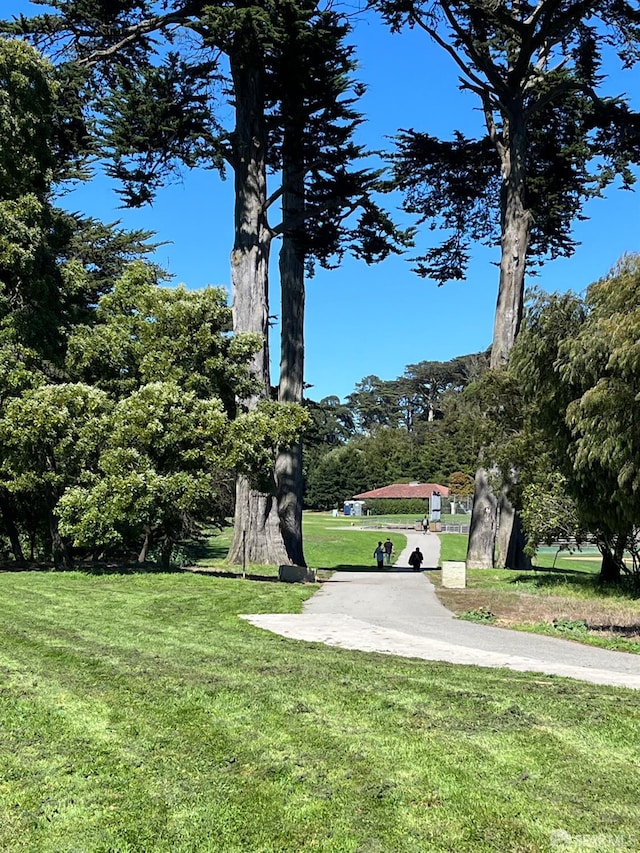 view of community with a lawn