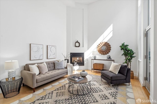 living room with light wood-type flooring and a multi sided fireplace