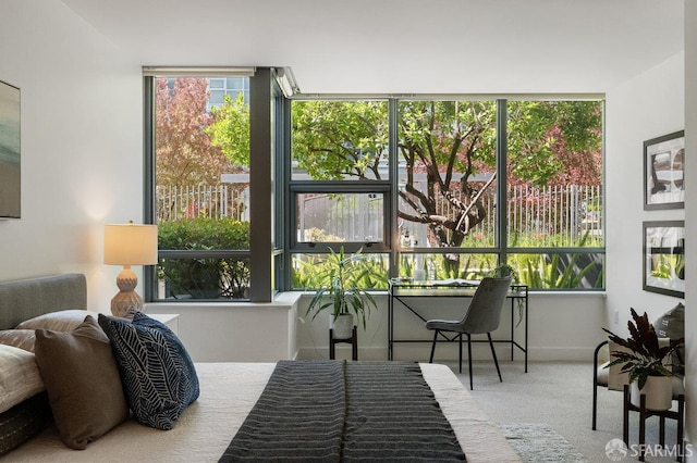 420 Mission Bay Blvd Unit 311, San Francisco, CA 94158 - view of sunroom