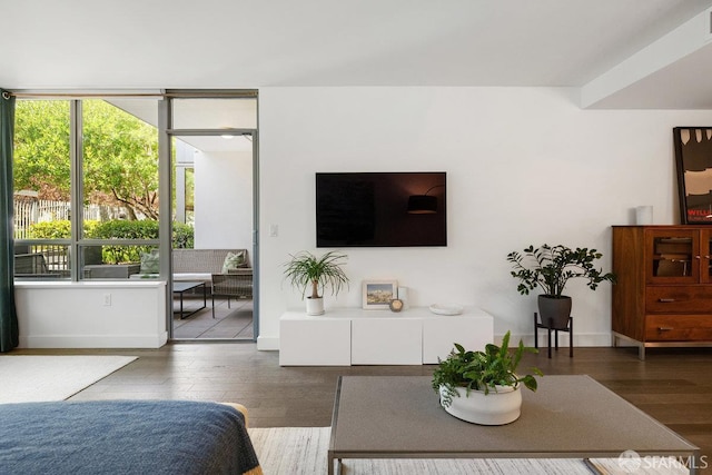 420 Mission Bay Blvd Unit 311, San Francisco, CA 94158 - living room with wood-type flooring and baseboards