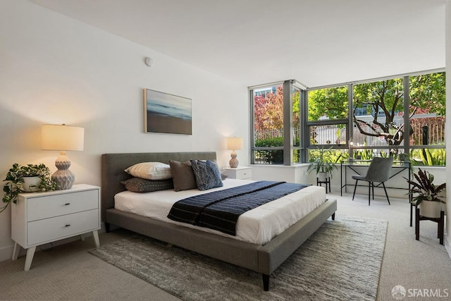 420 Mission Bay Blvd Unit 311, San Francisco, CA 94158 - bedroom featuring carpet floors