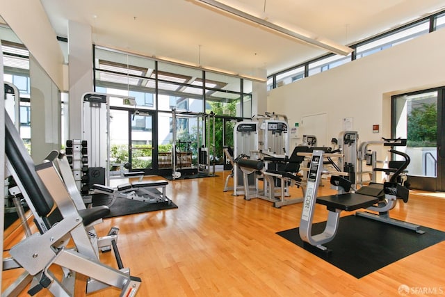 exercise room featuring a towering ceiling, expansive windows, and wood finished floors