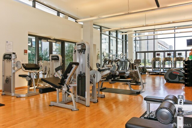 exercise room featuring a wall of windows, wood finished floors, and a healthy amount of sunlight