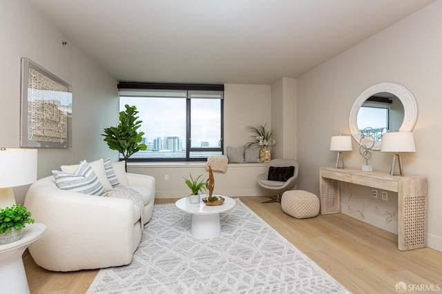 living room with wood finished floors