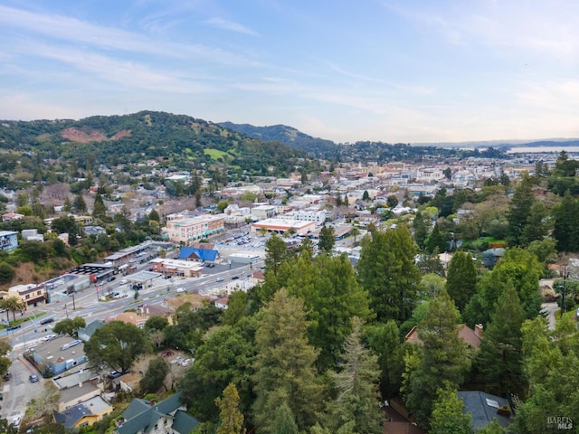 bird's eye view featuring a mountain view