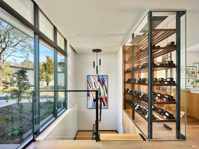 wine room featuring hardwood / wood-style flooring and floor to ceiling windows