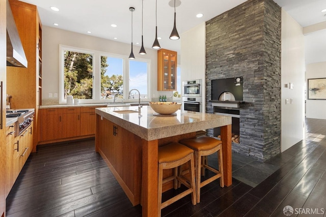 kitchen with glass insert cabinets, dark wood finished floors, an island with sink, appliances with stainless steel finishes, and a sink