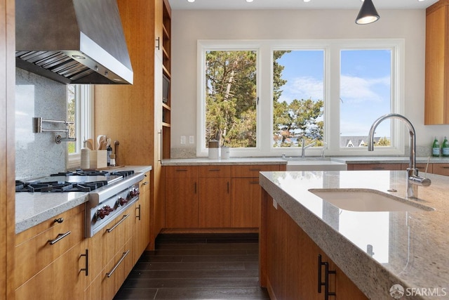 kitchen with a sink, stainless steel gas stovetop, range hood, and a healthy amount of sunlight