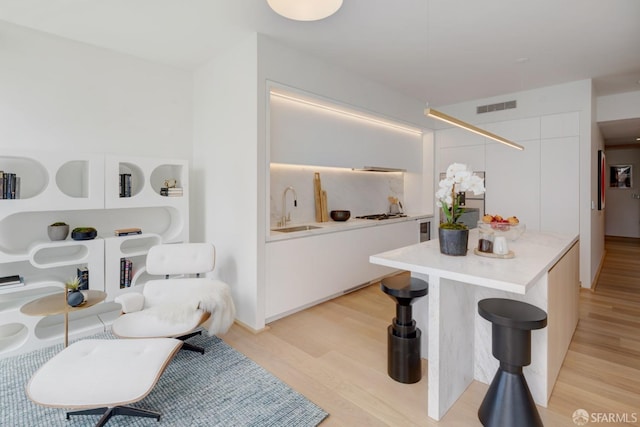 living area featuring light wood finished floors and visible vents