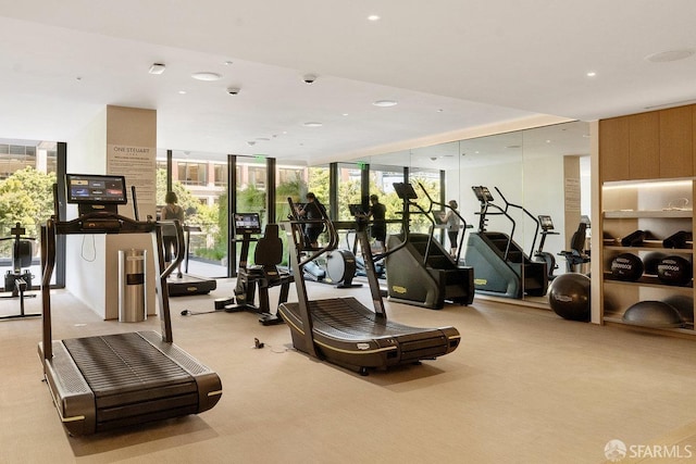 gym featuring expansive windows and light carpet