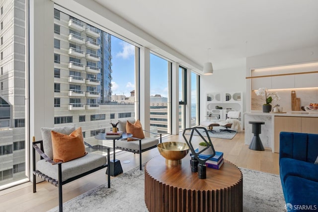 living room featuring light wood-type flooring and a city view