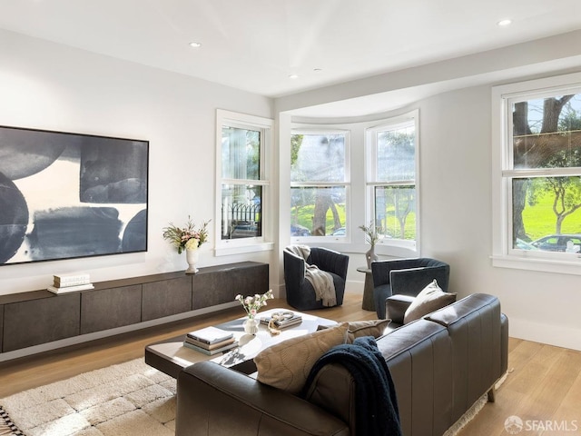 living room with light wood-type flooring and a wealth of natural light