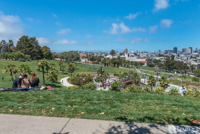 view of community with a yard