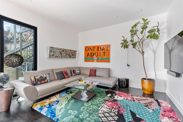 living room with dark wood-type flooring