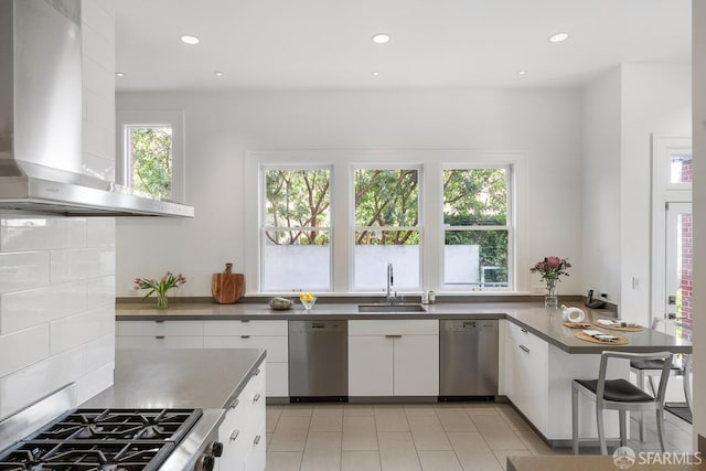 kitchen with wall chimney range hood, stainless steel appliances, a sink, and plenty of natural light