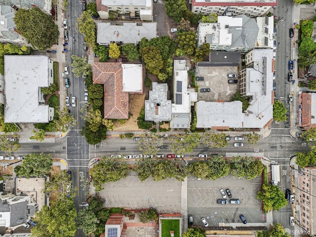 1767 Euclid Ave Unit 4, Berkeley, CA 94709 - photo 30